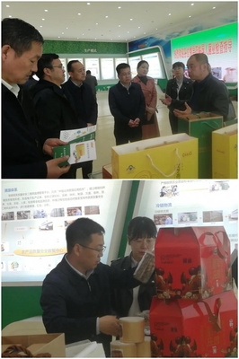 省農業農村廳赴陳倉區慕儀鎮調研 聚焦農作物產業發展，助推農業現代化升級