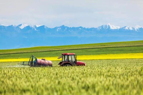 未來十年餐桌變革 智慧農業如何重塑我們的米袋子與菜籃子